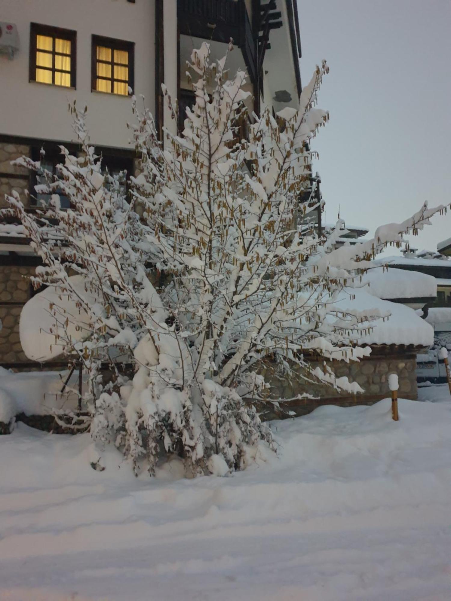 Dream Apart Hotel 207 Bansko Chambre photo